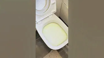 Toilettenbombe Deluxe