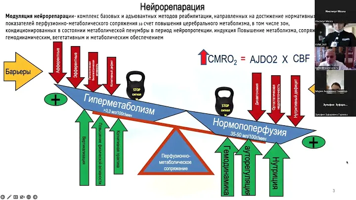 Фундаментальные основы реабилитации Базовые модуляции