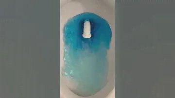 AS Champion 4 Max With Modified Siphon Jet Blue Dye Test