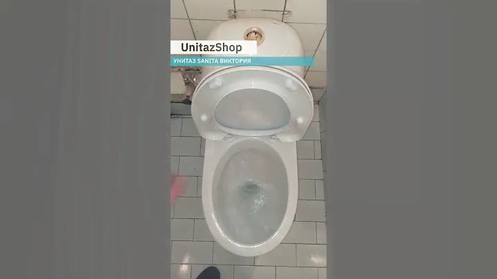 Унитаз с установкой и доставкой под ключ Sanita Виктория от UnitazShop