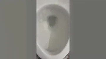 AS Champion 4 Max Flushing With Siphon Jet Only
